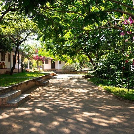 The Mountain Retreat Hotel Tiruvannāmalai Екстериор снимка